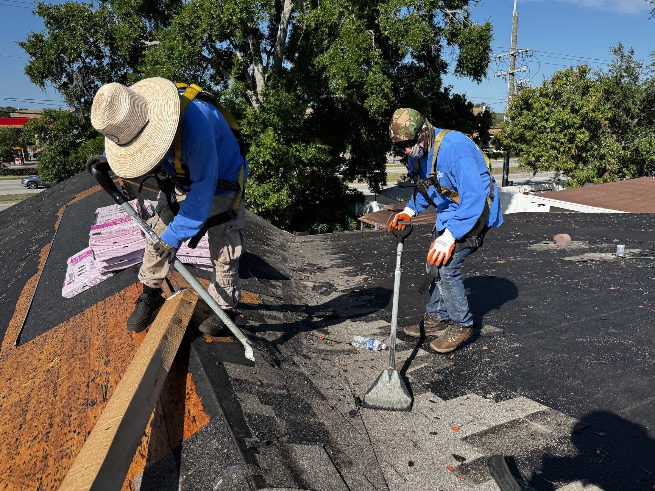 Roofing crew clearing old shingles with roofing rakes